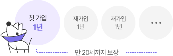 첫 가입 1년 / 재가입 1년 / 재가입 1년 / 만20세까지 보장